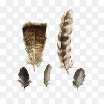 ˮī������ë-������