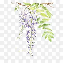 ����ˮ�ʻ���ͼ��-������