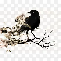 乌鸦-空若网 乌鸦-空若网