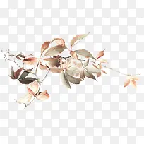 Ư������֦Ҷ-������