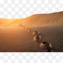 ��ɳ�еĽ�ӡ������ӰͼƬ-������