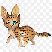 萨凡纳猫狮子猎豹野猫猎豹-空若网 萨凡纳猫狮子猎豹野猫猎豹-空若网