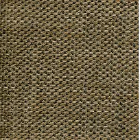 �鲼��������-������