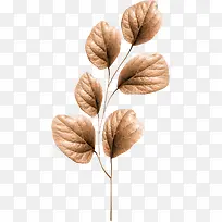 橙色漂亮枝叶-空若网 橙色漂亮枝叶-空若网