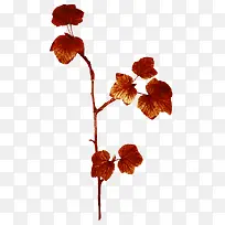 ��ɫ֦Ҷ-������