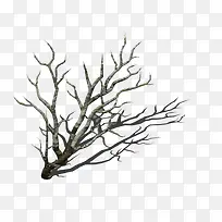 立体树枝-空若网 立体树枝-空若网