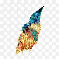 彩色鹰-空若网 彩色鹰-空若网