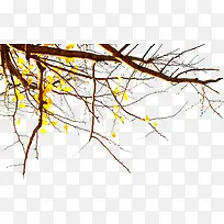 ��ɫ��������-������