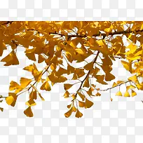 ������-������