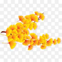 唯美精美树枝树叶银杏叶树叶-空若网 唯美精美树枝树叶银杏叶树叶-空若网