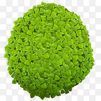 绿色原创爱心植物-空若网 绿色原创爱心植物-空若网