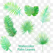 7款绿色热带植物叶子矢量素材-空若网 7款绿色热带植物叶子矢量素材-空若网