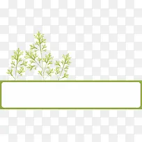 ��ɫֲ��߿�-������