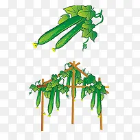 ��ͨ�ƹ�-������