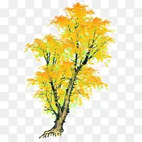 秋季枫叶树手绘-空若网 秋季枫叶树手绘-空若网