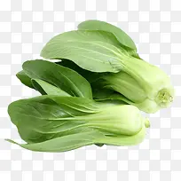 蔬菜-空若网 蔬菜-空若网