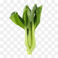 �߲�-������