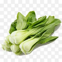 蔬菜-空若网 蔬菜-空若网