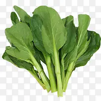 蔬菜-空若网 蔬菜-空若网