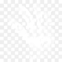 白色透明手-空若网 白色透明手-空若网