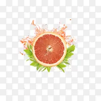 橙子水果-空若网 橙子水果-空若网