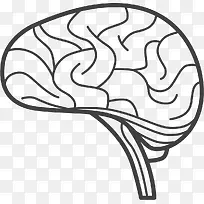 大脑简单手绘示意图-空若网 大脑简单手绘示意图-空若网
