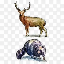 �ʻ�Ұ������-������