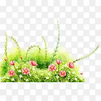 �����ز�-������