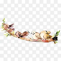 树枝上的小鸟-空若网 树枝上的小鸟-空若网