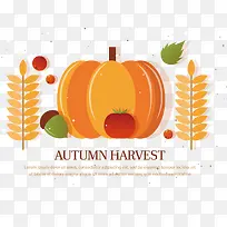 南瓜-空若网 南瓜-空若网