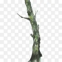 水彩树干-空若网 水彩树干-空若网