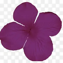 科技线条素材线条形状-空若网 科技线条素材线条形状-空若网