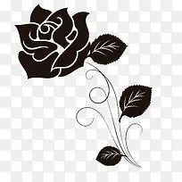 黑色玫瑰花PNG免费下载-空若网 黑色玫瑰花PNG免费下载-空若网