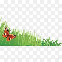 绿色草和蝴蝶矢量图-空若网 绿色草和蝴蝶矢量图-空若网