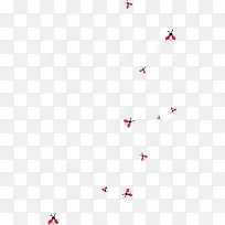 昆虫漂浮的七星瓢虫-空若网 昆虫漂浮的七星瓢虫-空若网