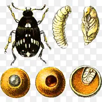 ���ӵ���������-������