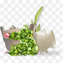 蔬菜-空若网 蔬菜-空若网