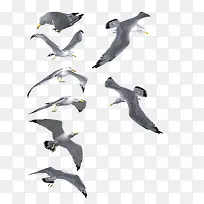 ������ͼ-������