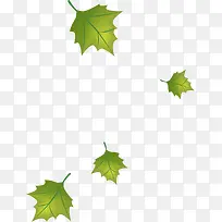 绿色树叶漂浮-空若网 绿色树叶漂浮-空若网