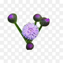 �̼��ݻ�ͼƬ�ز�-������