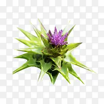 �̼���С��ͼƬ�ز�-������