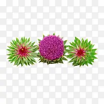 �����̼���ͼƬ�ز�-������