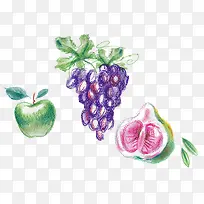 素描水果矢量-空若网 素描水果矢量-空若网