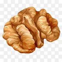 核桃果仁插画-空若网 核桃果仁插画-空若网