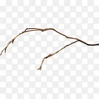棕色枯枝-空若网 棕色枯枝-空若网