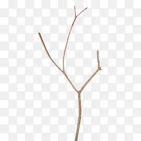 ��ɫƯ����֦-������