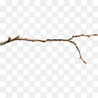 棕色漂亮树枝-空若网 棕色漂亮树枝-空若网