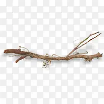 ��ɫƯ����֦-������