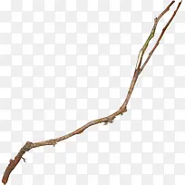 ��ɫ��֦-������