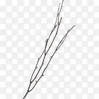 ��ɫƯ����֦-������